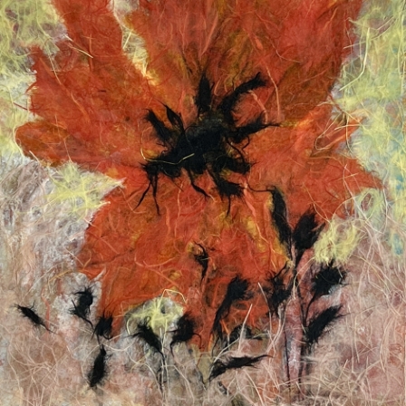 Red Poppy