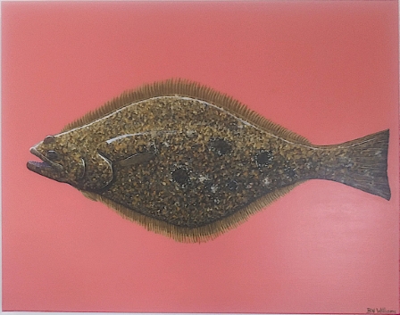 Summer Flounder