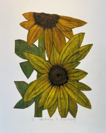 Flower Boxes - Sunflowers