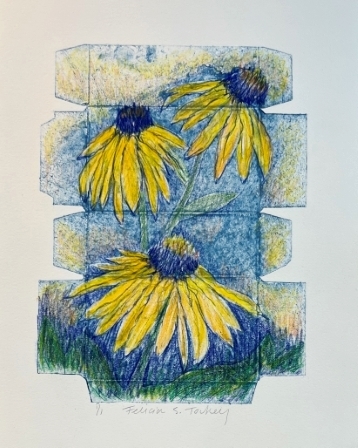 Flower Boxes - Black Eyed Susans